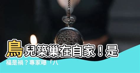 鳥兒在家築巢|【鳥在家裡築巢】鳥兒在家裡築巢預示什麼？風水專家。